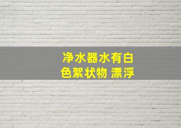 净水器水有白色絮状物 漂浮